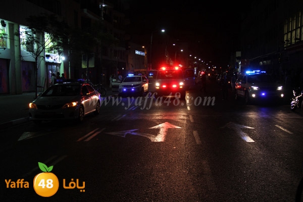 shejar aretreeien (9).JPG